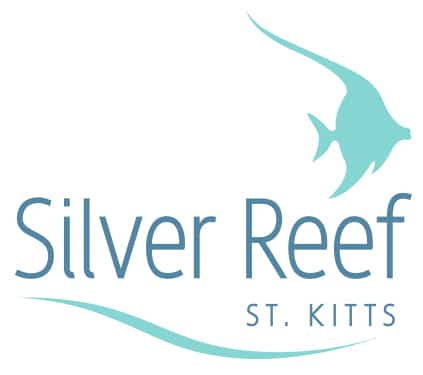 Silver Reef Branding