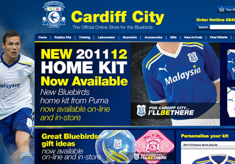 Cardiff City Portfolio Thumbnail